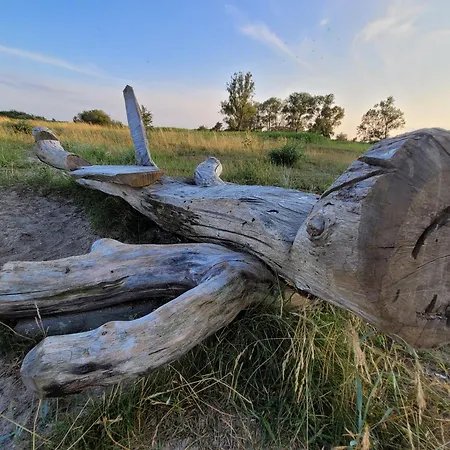 Prázdninový dům Ostsee Usedom Familie Stopp Haus 26 - Hunde Willk Eingezaeunt